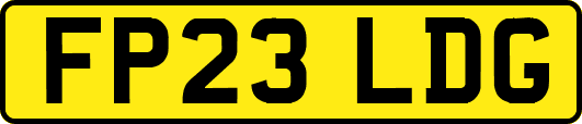 FP23LDG