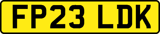 FP23LDK