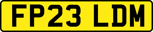 FP23LDM