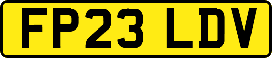 FP23LDV