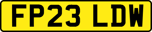 FP23LDW