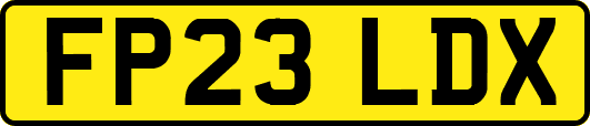 FP23LDX