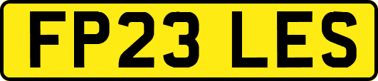 FP23LES