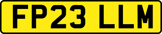 FP23LLM