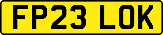 FP23LOK