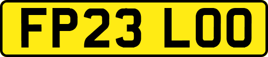 FP23LOO