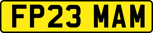 FP23MAM