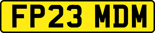 FP23MDM