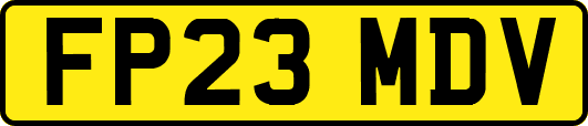 FP23MDV