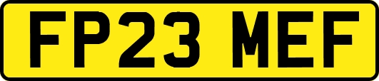 FP23MEF
