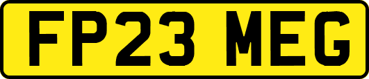 FP23MEG