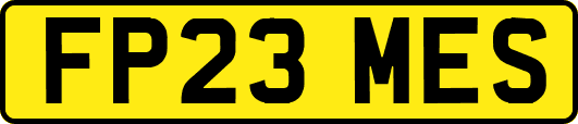 FP23MES