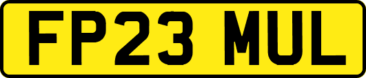 FP23MUL