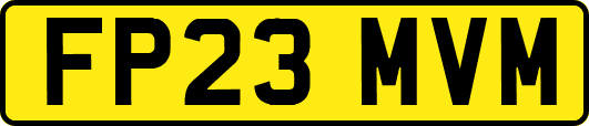 FP23MVM