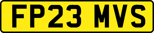 FP23MVS
