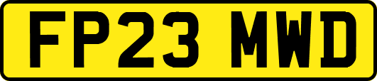 FP23MWD