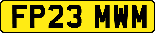FP23MWM