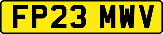 FP23MWV