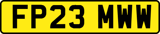 FP23MWW