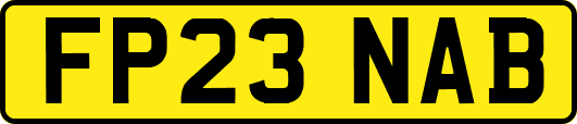 FP23NAB