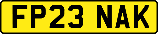 FP23NAK