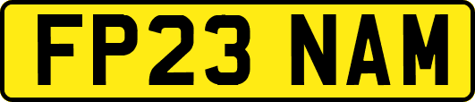 FP23NAM