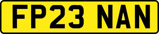 FP23NAN