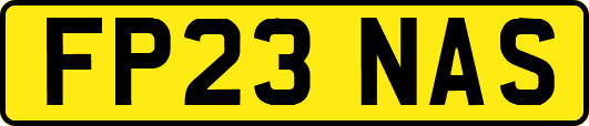 FP23NAS