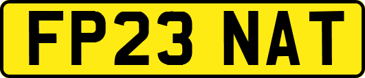 FP23NAT