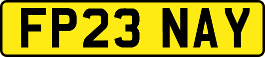FP23NAY