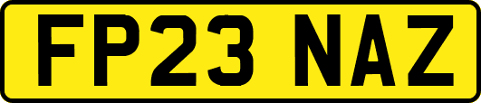 FP23NAZ