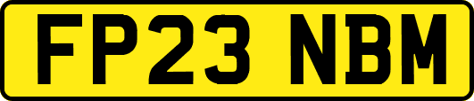 FP23NBM