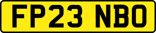 FP23NBO