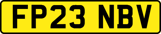FP23NBV