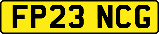 FP23NCG