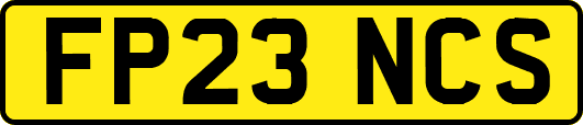 FP23NCS