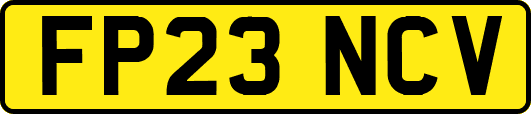 FP23NCV