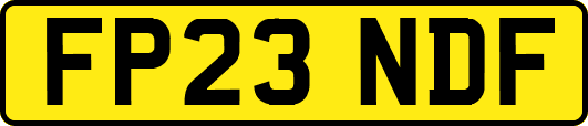 FP23NDF