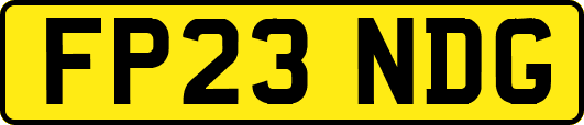 FP23NDG