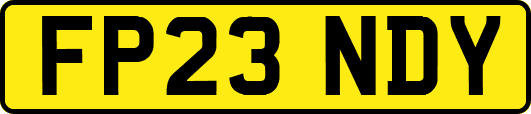 FP23NDY