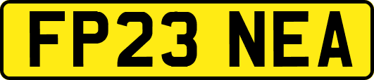 FP23NEA