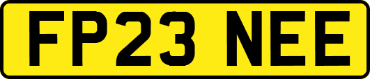 FP23NEE
