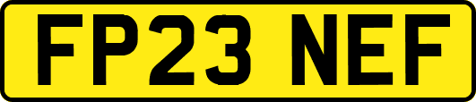 FP23NEF