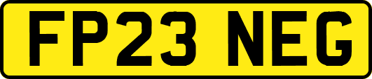 FP23NEG