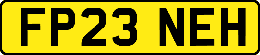 FP23NEH