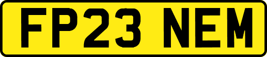 FP23NEM