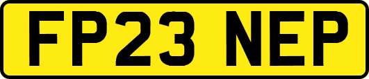 FP23NEP