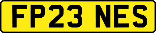 FP23NES