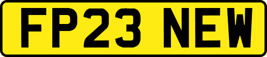 FP23NEW