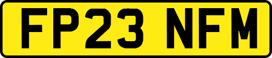 FP23NFM